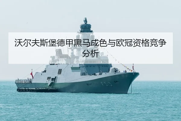 wo-er-fu-si-bao-de-jia-hei-ma-cheng-se-yu-ou-guan-zi-ge-jing-zheng-fen-xi-3-454.jpg