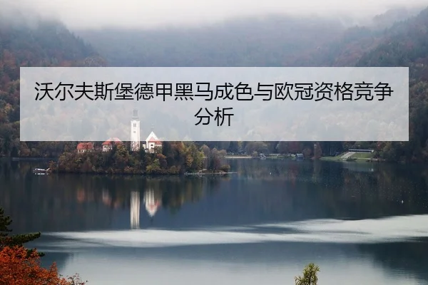 沃尔夫斯堡德甲黑马成色与欧冠资格竞争分析