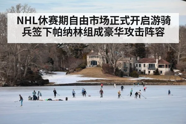 NHL休赛期自由市场正式开启游骑兵签下帕纳林组成豪华攻击阵容